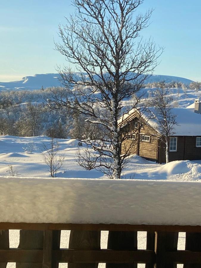 Storemyr By Norgesbooking - Cabin With Amazing View Myro Zewnętrze zdjęcie